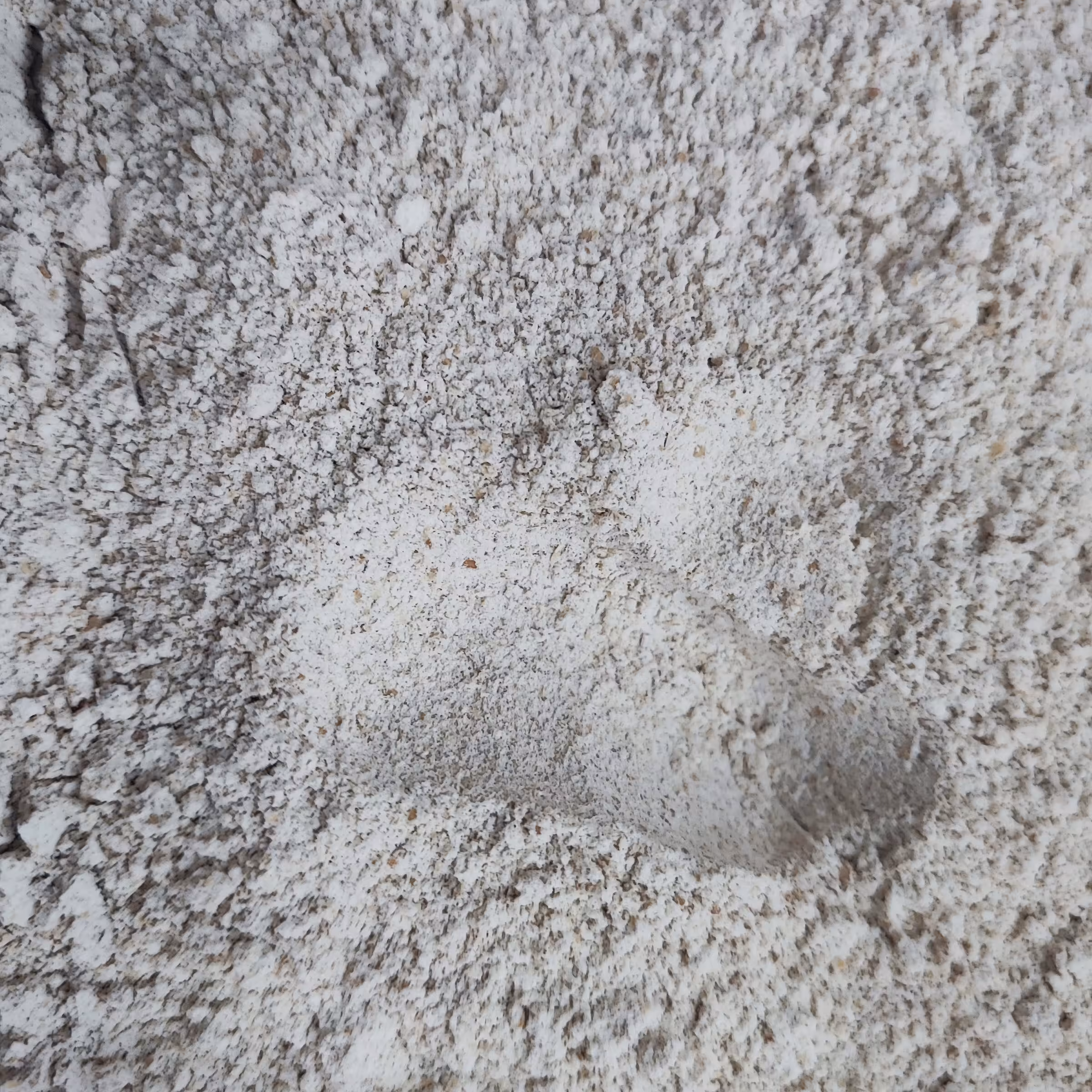 پودر جوانه گندم  اعلا یک کیلو 