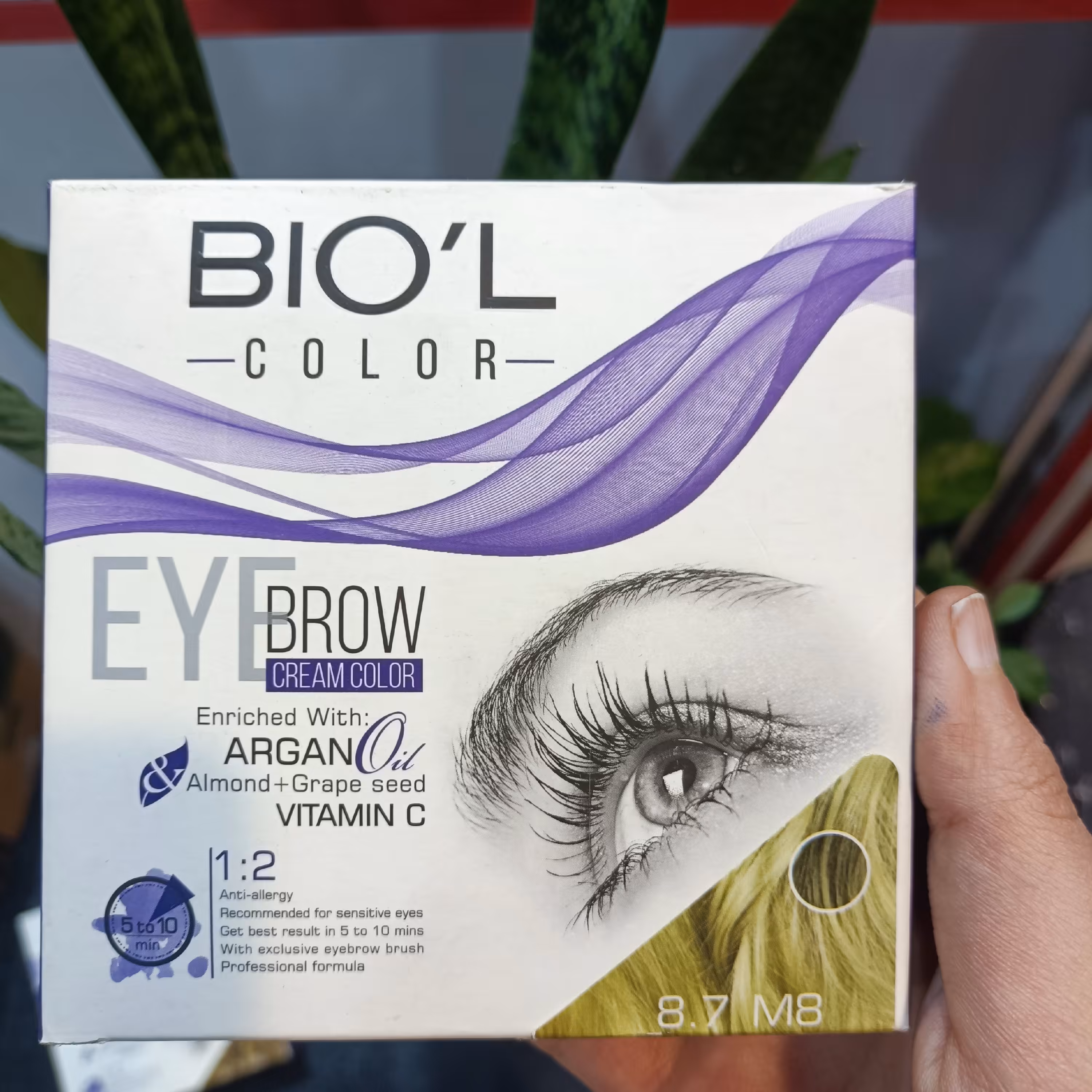 کیت رنگ ابرو بیول رنگ شماره 8 زیتونی 