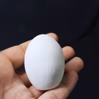 تخم مرغ سنگی بتنی 