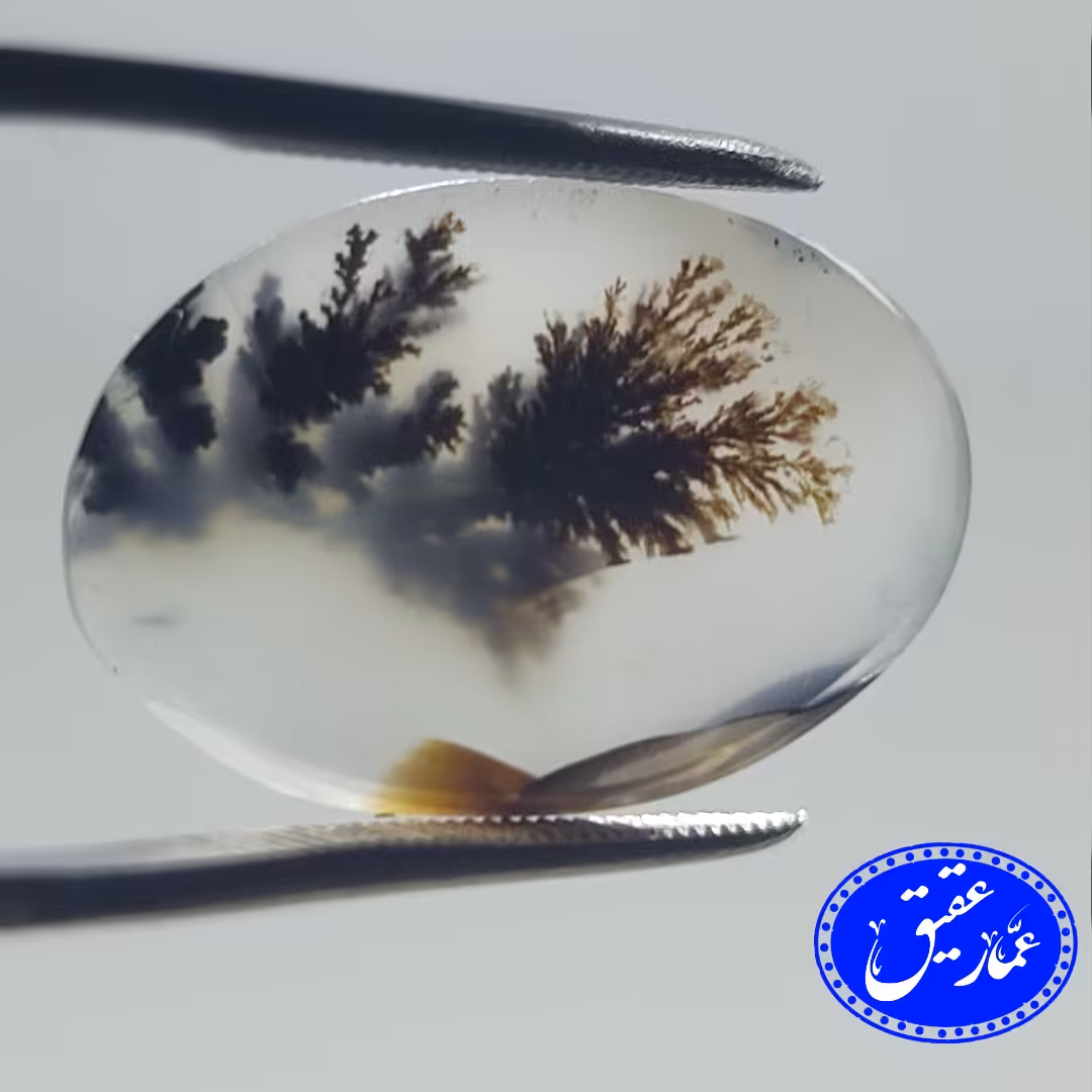 نگین عقیق شجر دو طرفه گل مشکی با سرگل زرد