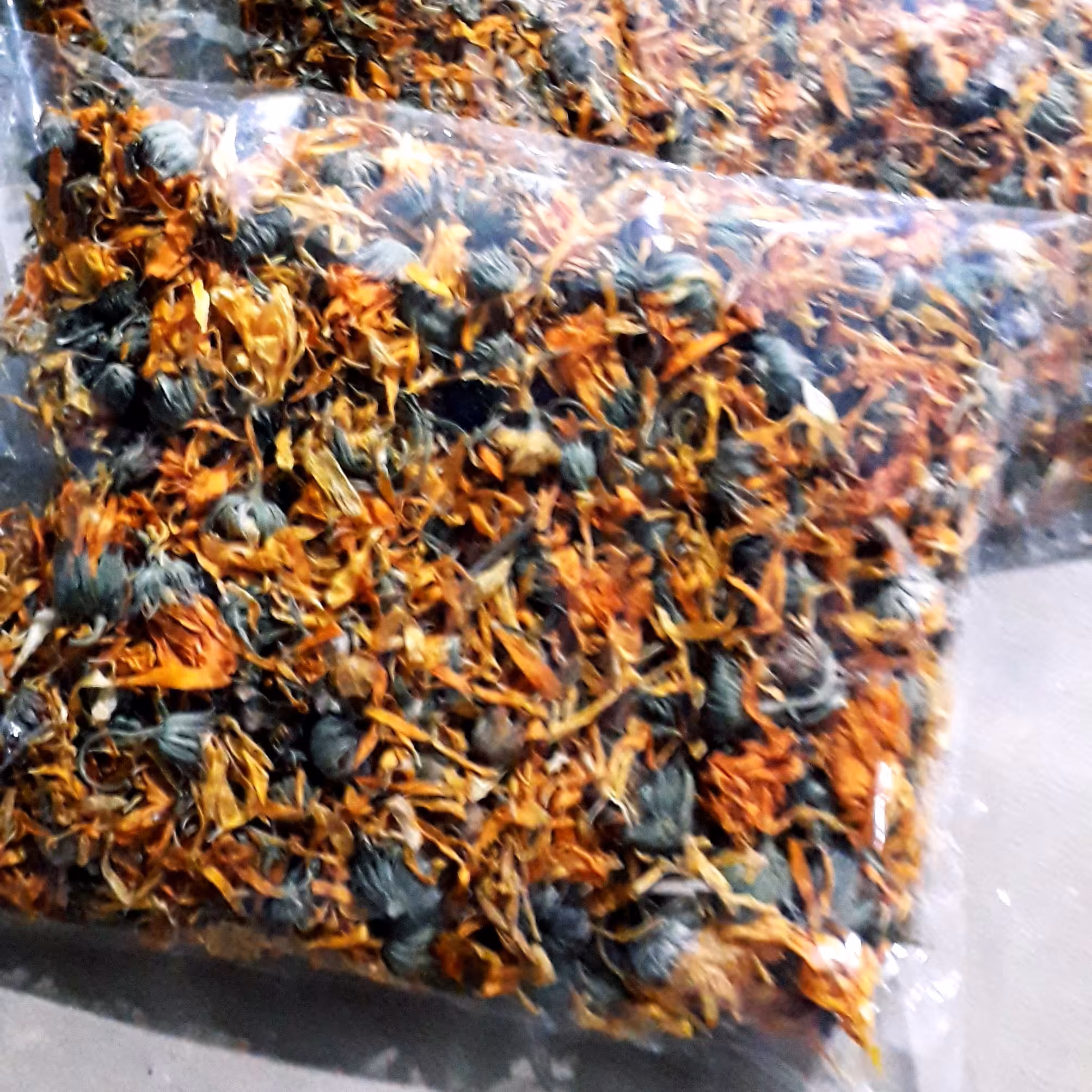 گل همیشه بهار