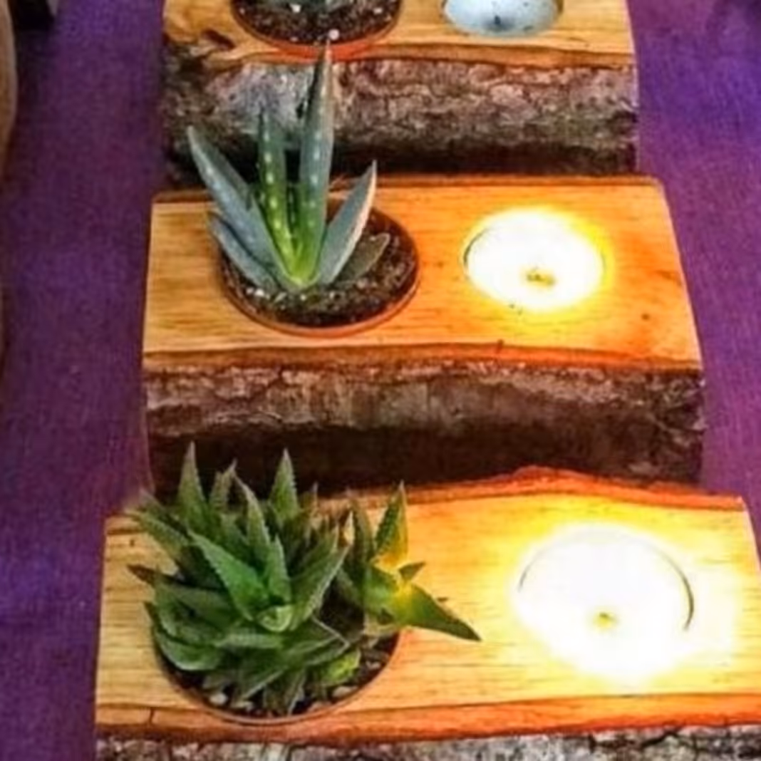 گلدان جاشمعی(وارمر خور) روستیک جنگلی 