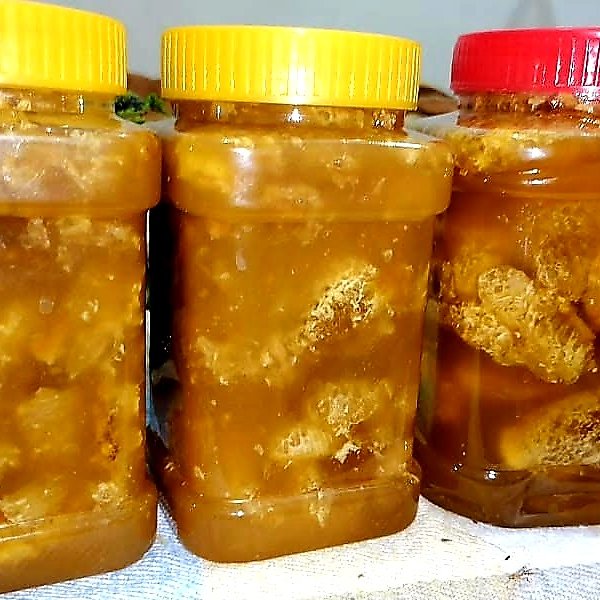 عسل وحشی