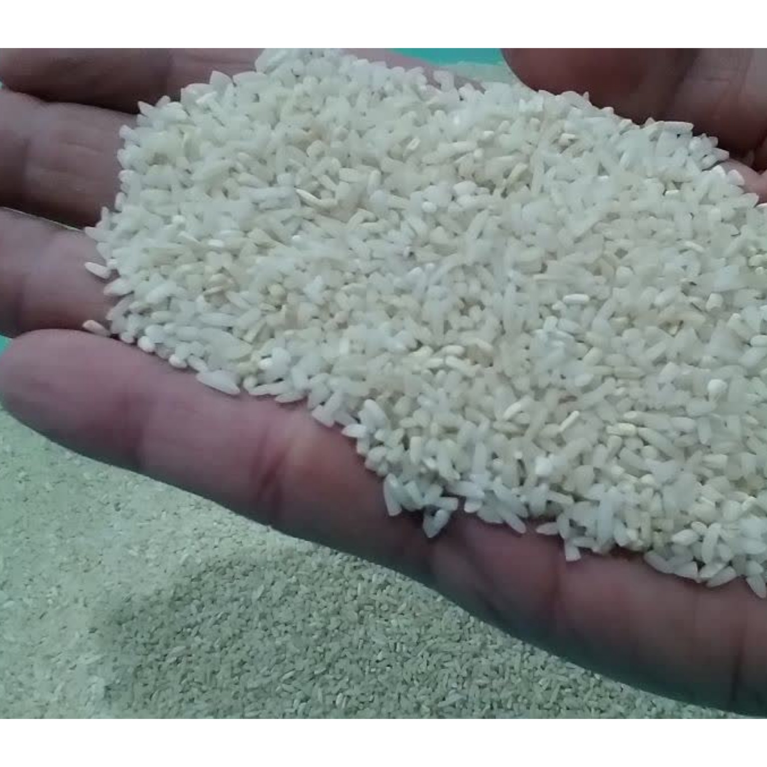 ارسال رایگان برنج لاشه هاشمی خوش طعم مازندران 10 کیلویی امساله