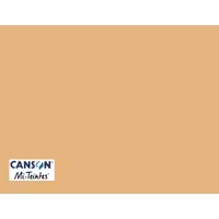 مقوا پاستل Mi-Teintes کانسون کد 470 ابعاد 65 در 50