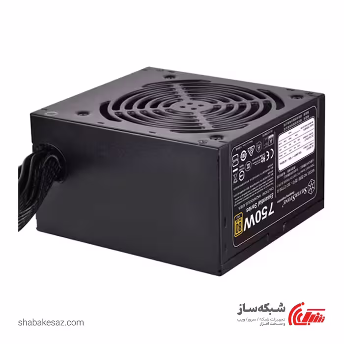 قیمت و خرید منبع تغذیه سیلور استون SILVERSTONE ET750-G - شبکه ساز