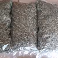 نعنا خشک شده