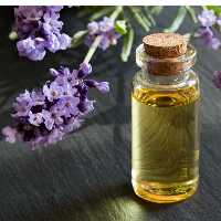 روغن اسطوخودوس خالص یک لیتری