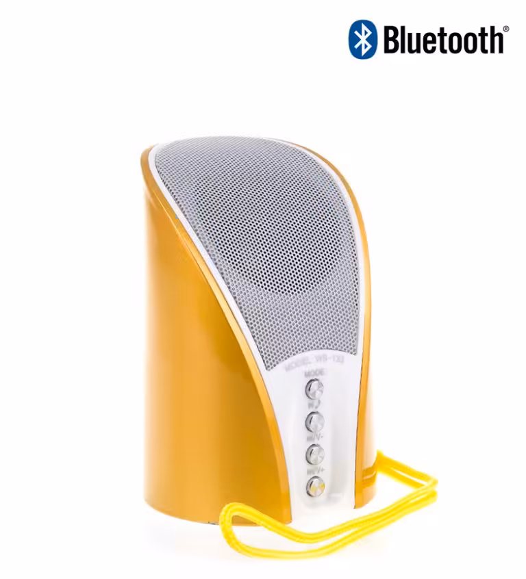 اسپیکر قابل حمل Wster مدل WS-133