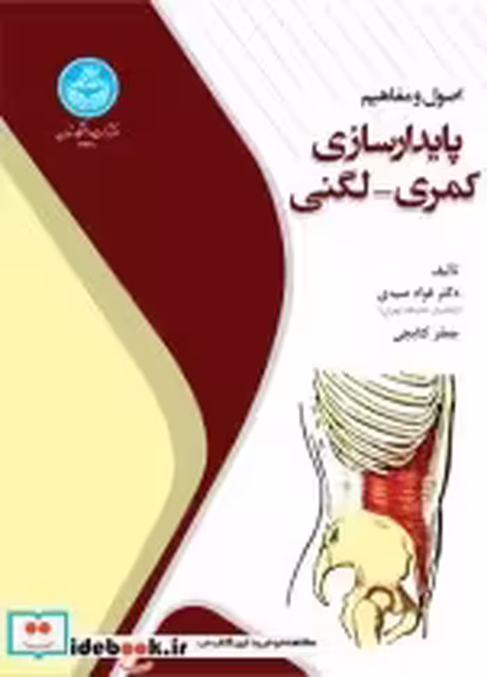 قیمت و خرید کتاب اصول و مفاهیم پایدار سازی | ایده بوک