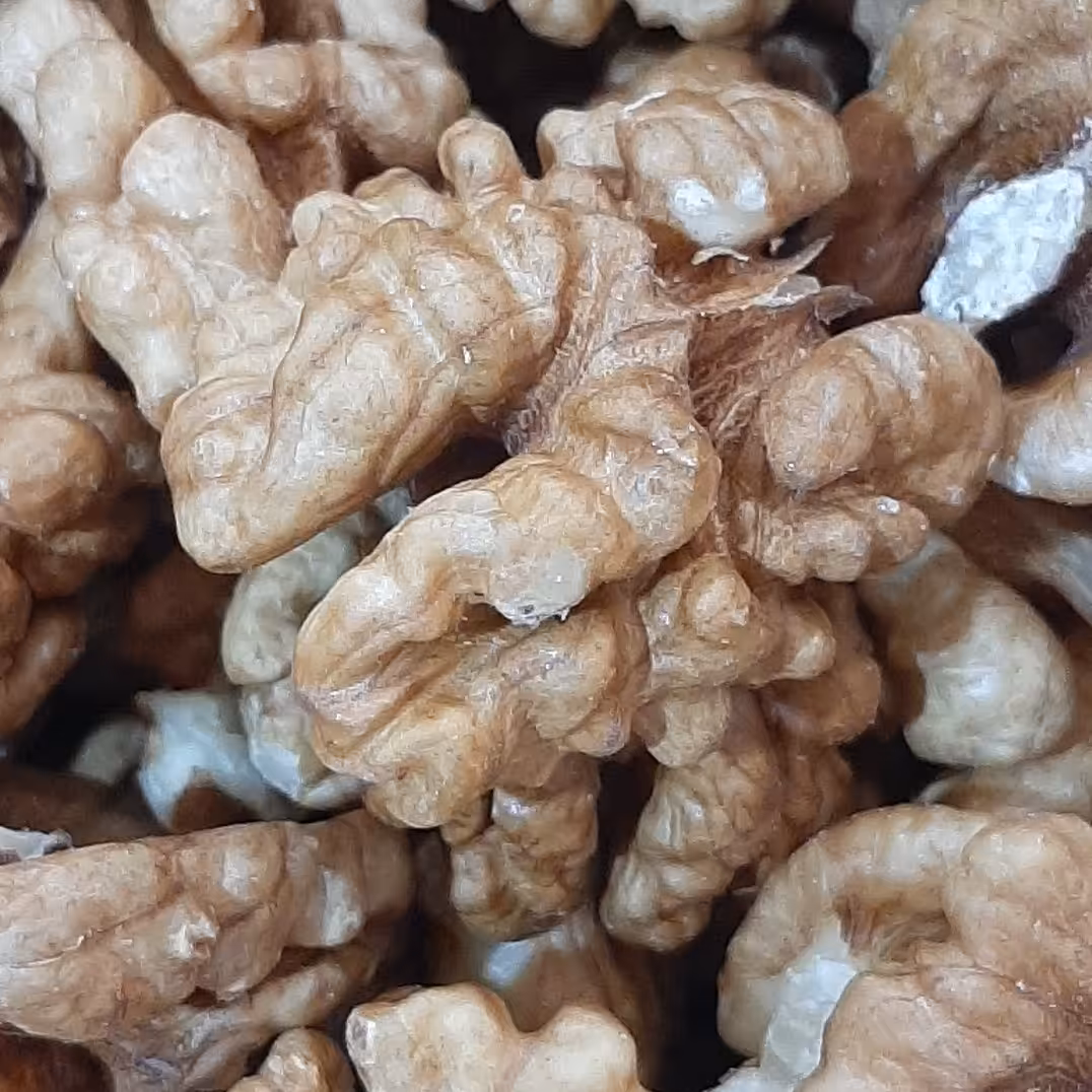 مغز گردو ایرانی دستچین