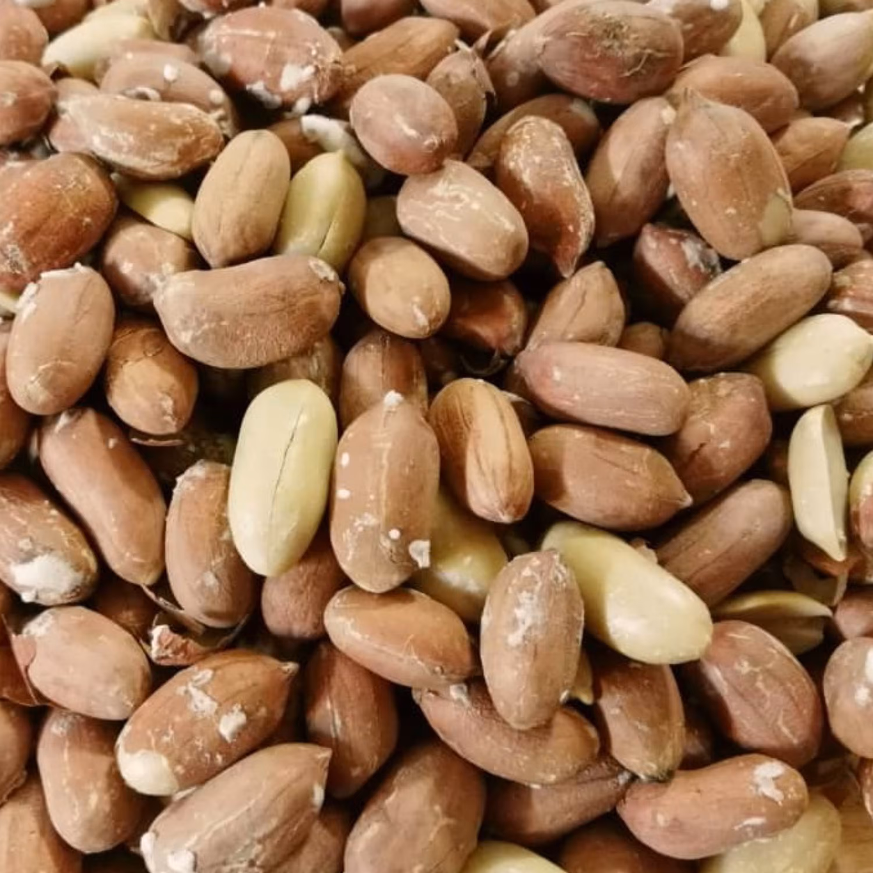 بادام زمینی درشت آستانه اشرفیه 1 کیلو تازه 1402