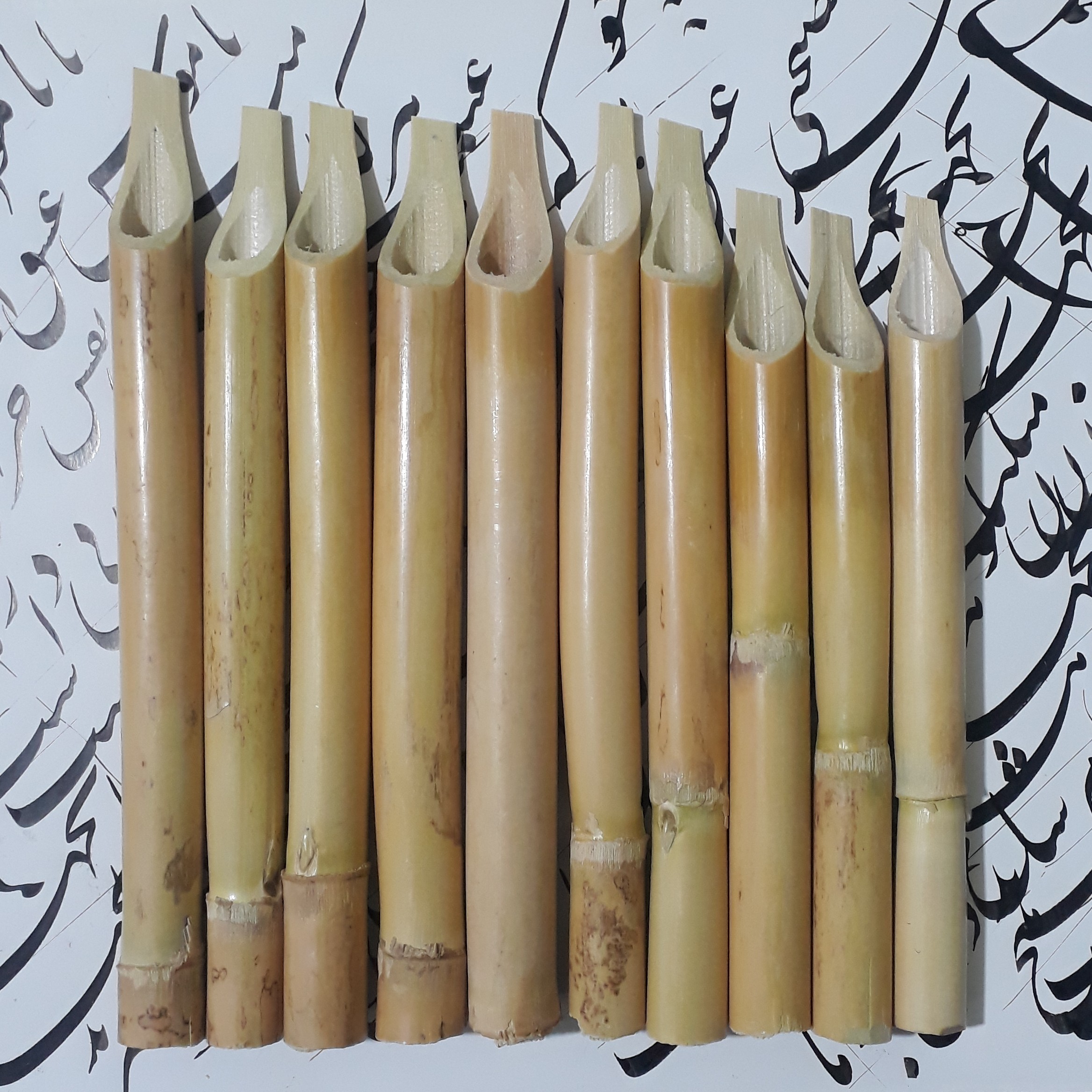 قلم نی مخصوص خوشنویسی بسته ده تایی با تراش استاندارد