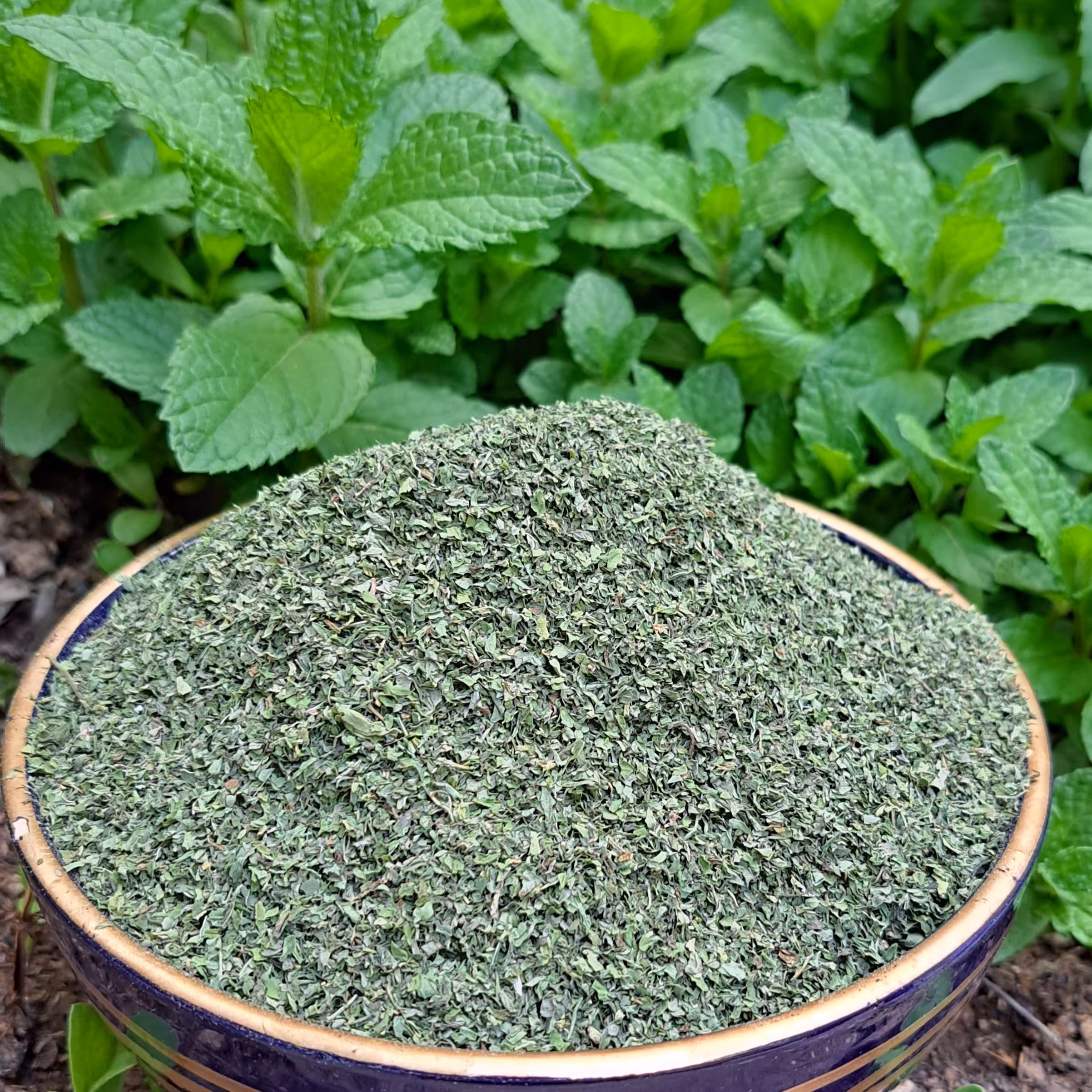 نعنا خشک دست چین شده طبیعی ( 500گرم )