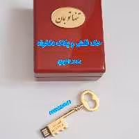 فلش مموری روکش طلا با جعبه اورجینال