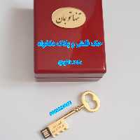 فلش مموری روکش طلا با جعبه اورجینال