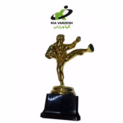 تندیس رزمی 17 سانتی - مشخصات،قیمت و خرید