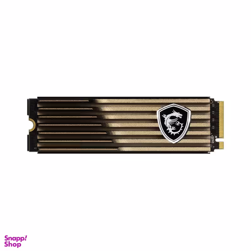 اس اس دی اینترنال ام اس آی مدل SPATIUM M570 PCIe 5.0 NVMe M.2 HS