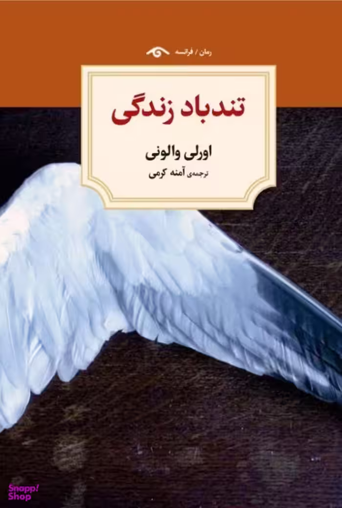 کتاب تندباد زندگی اثر اورلی والونی انتشارات دیدآور