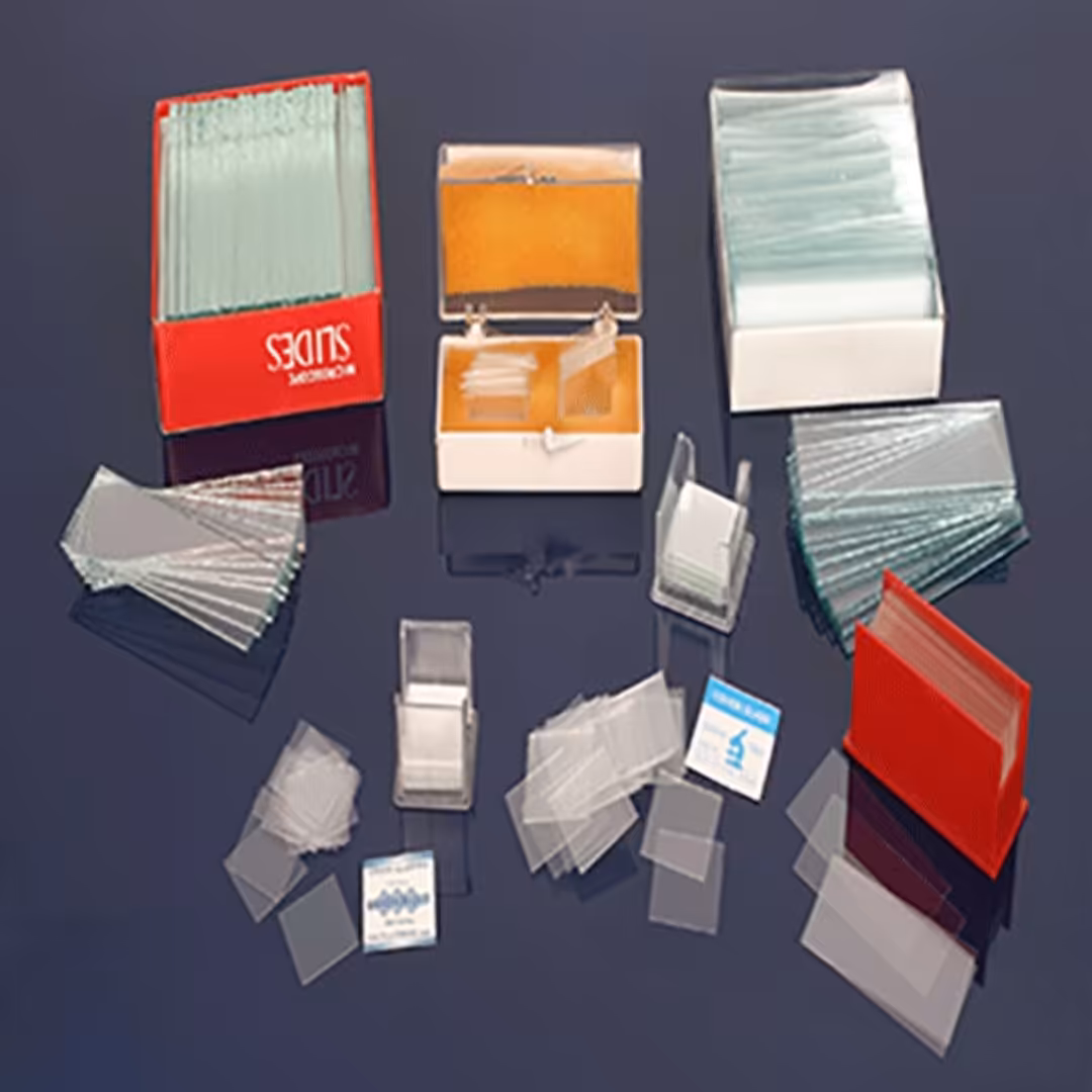 لامل بسته 100 عددی