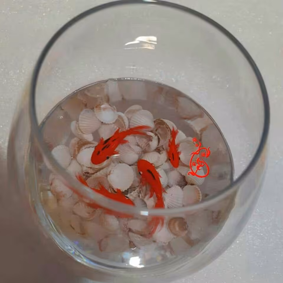 ماهی رزینی تنگ شیشه ای