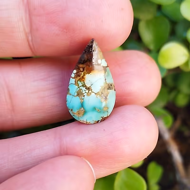 فیروزه شجر نیشابوری اشکی.