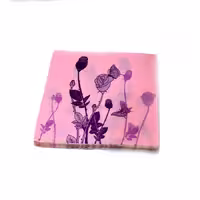 دستمال کاغذی استارلوکس  (خارجِی)