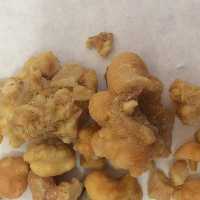 فاسوخ مغربی