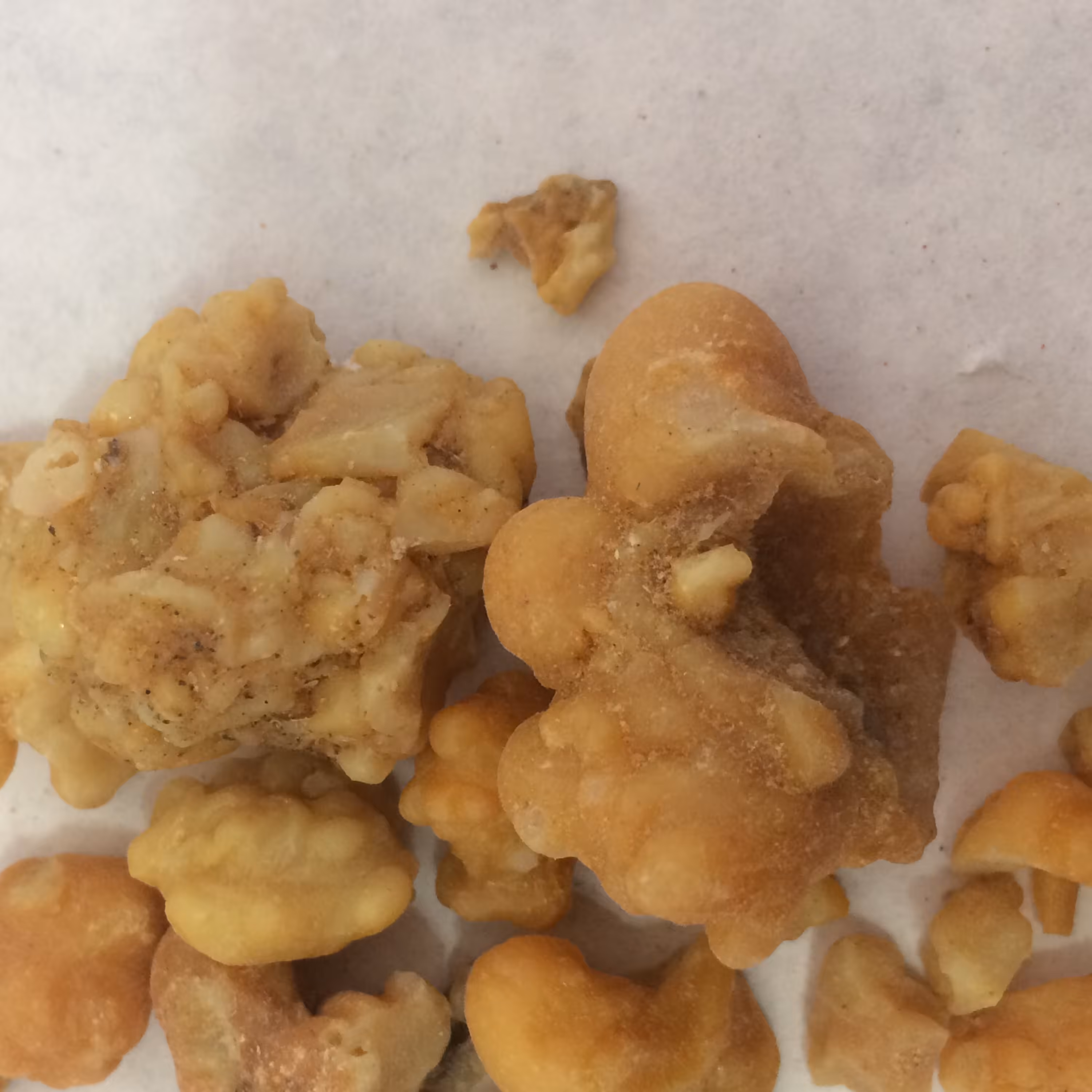 فاسوخ مغربی