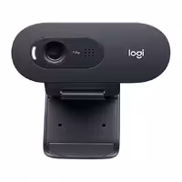 وب کم لاجیتک C505E HD