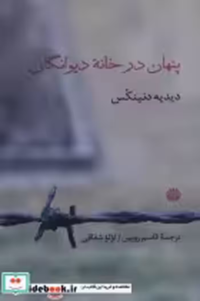 قیمت و خرید کتاب پنهان در خانه دیوانگان | ایده بوک