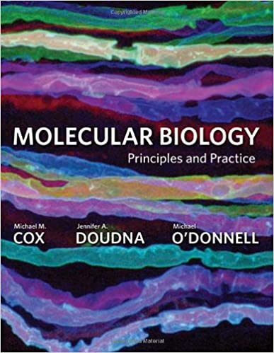 󾕇 دانلود کتاب Molecular Biology - Principles And Practice, 2012 - دانلود کتاب های دانشگاهی