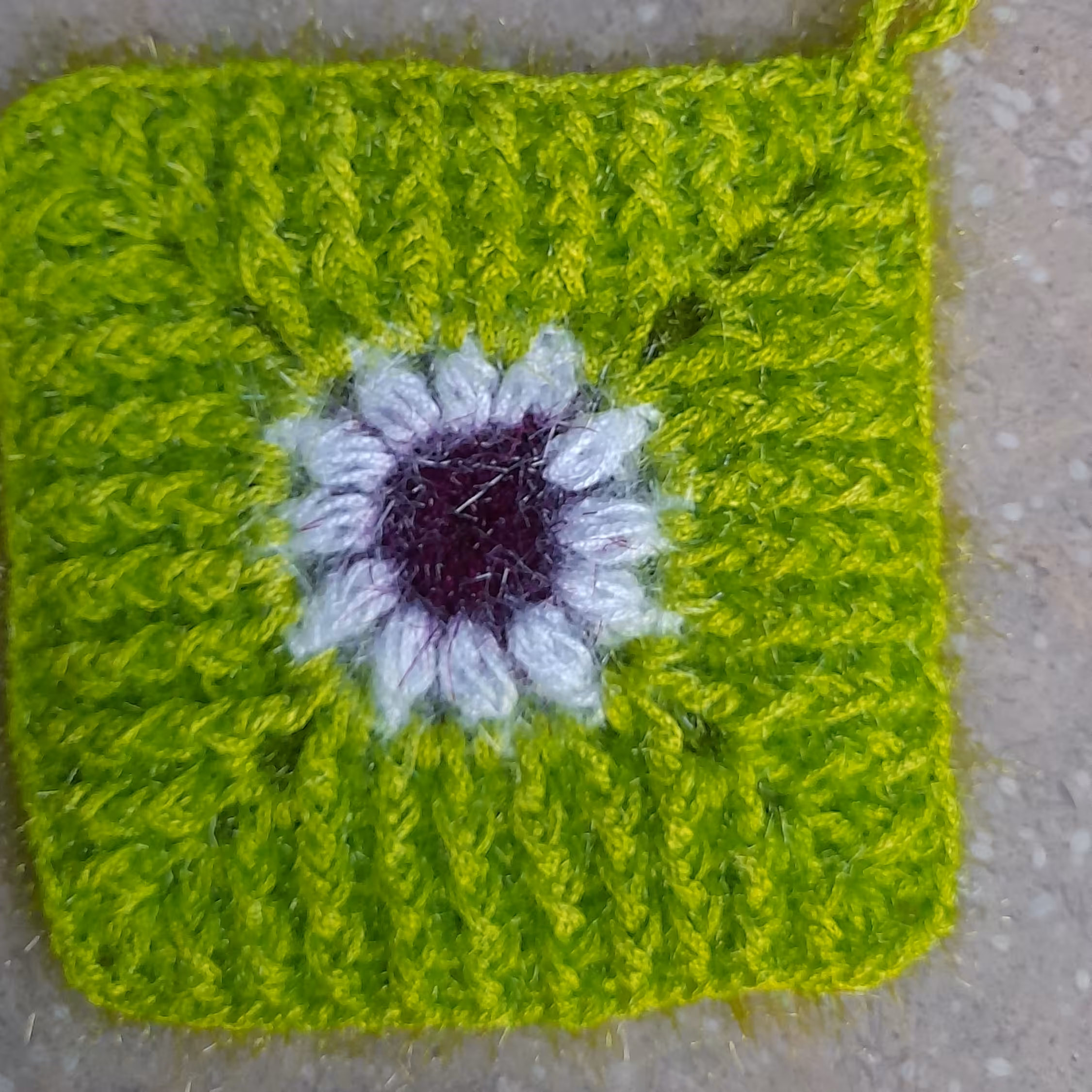 اسکاچ طرح دار در رنگبندی های گوناگون