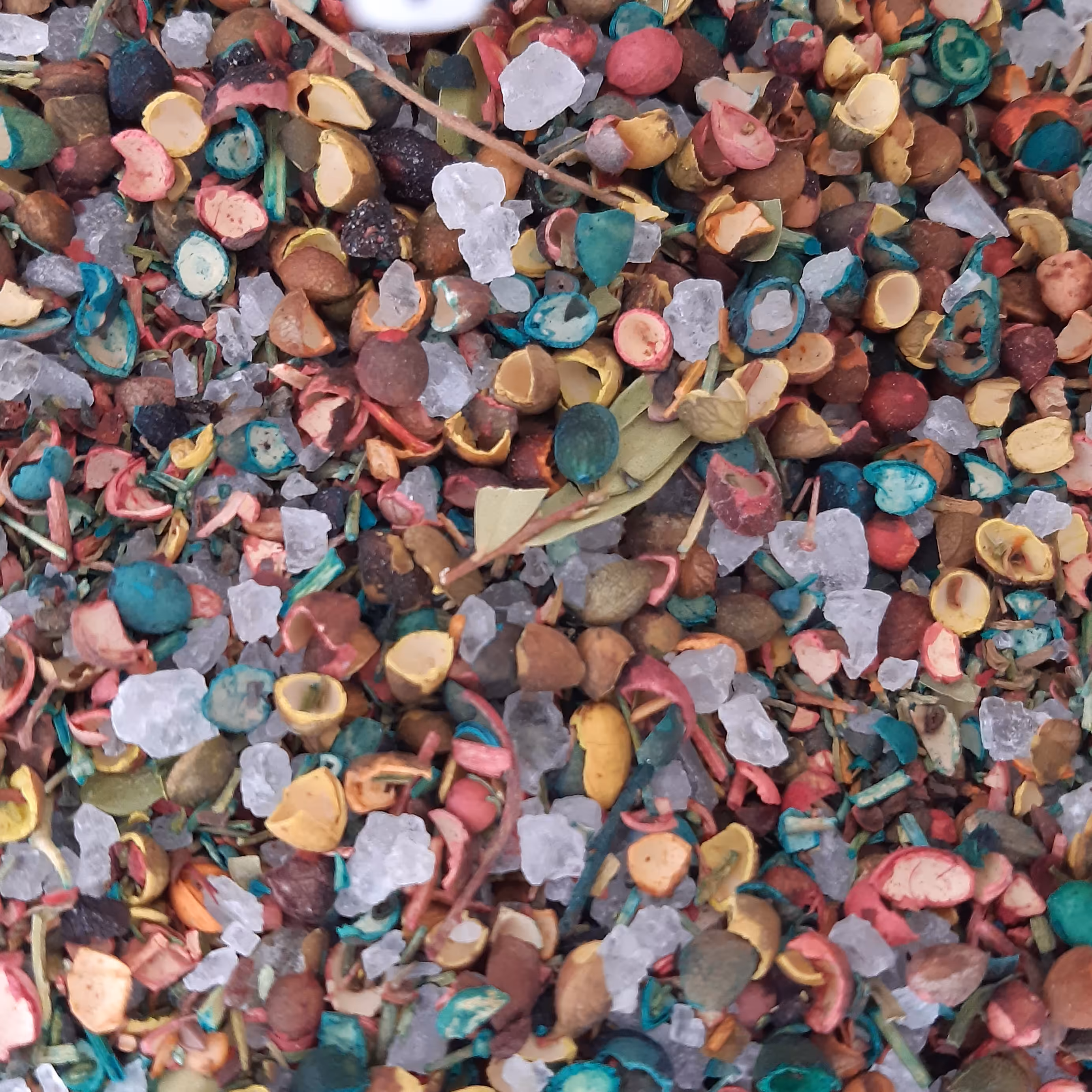 آتل باتل اسپند رنگی معمولی (5کیلویی)