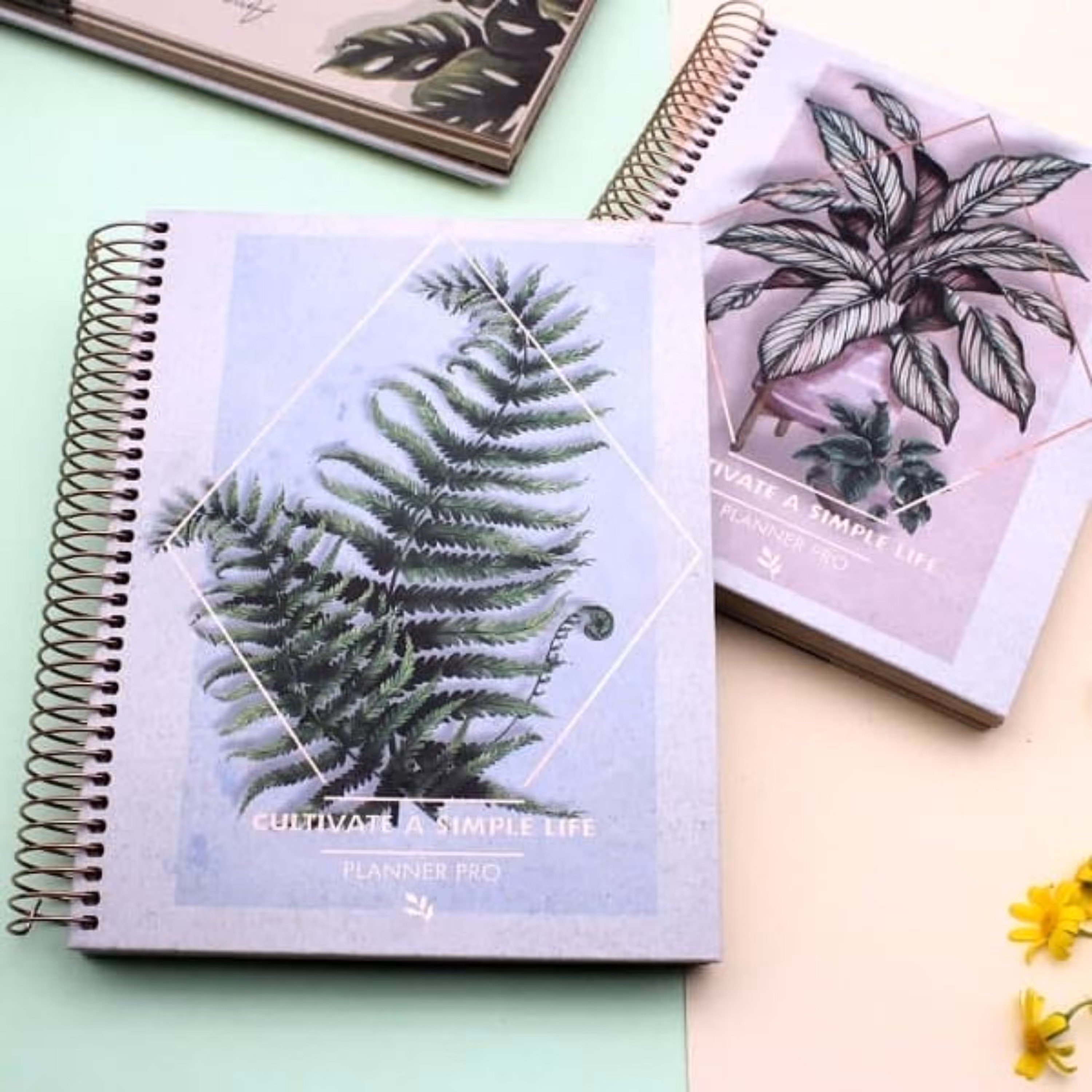 پلنر حرفه ای سیمی سالانه طرح Nature