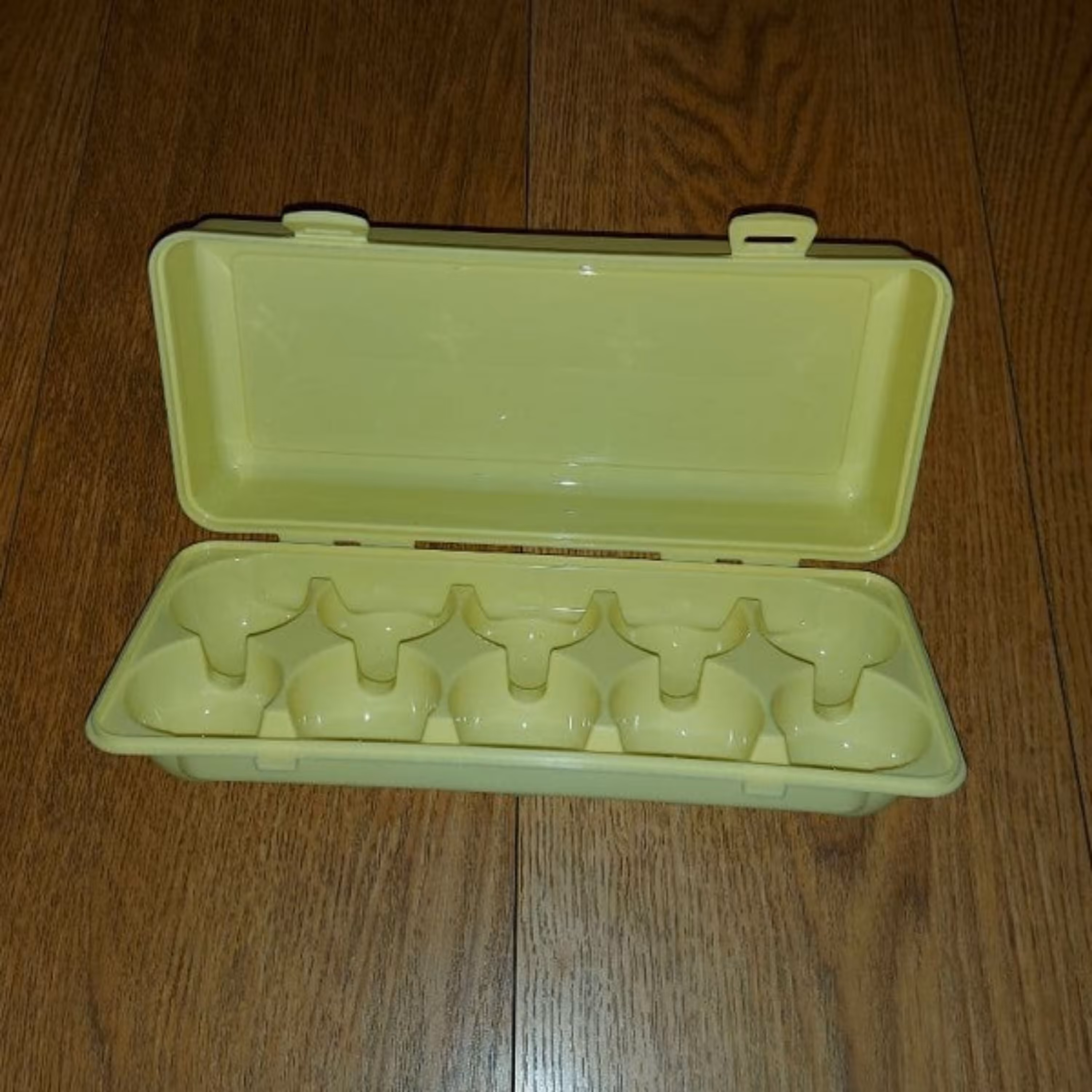 جا تخم مرغی