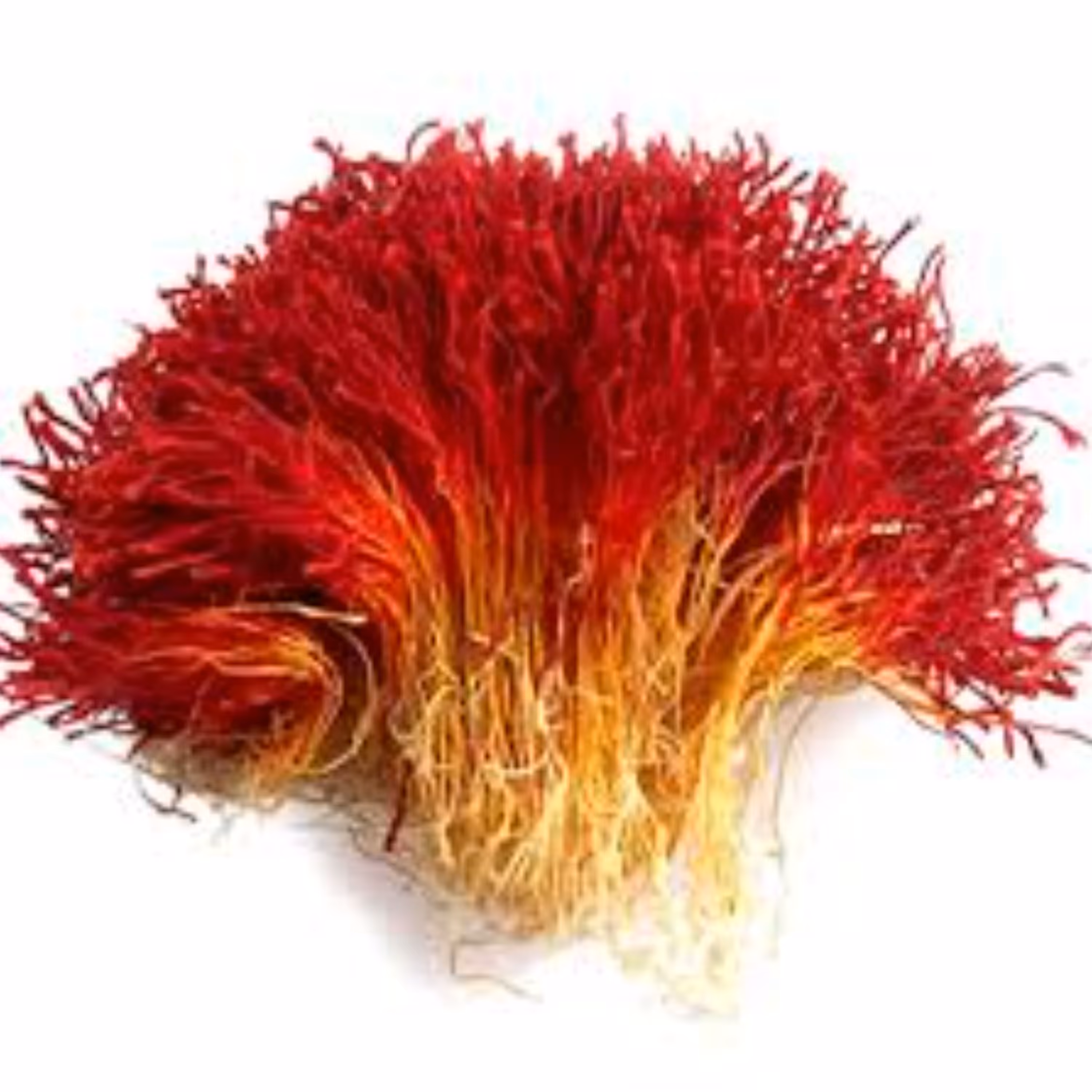 زعفران دسته(دخترپیچ)  درجه یک در بسته 4 گرمی