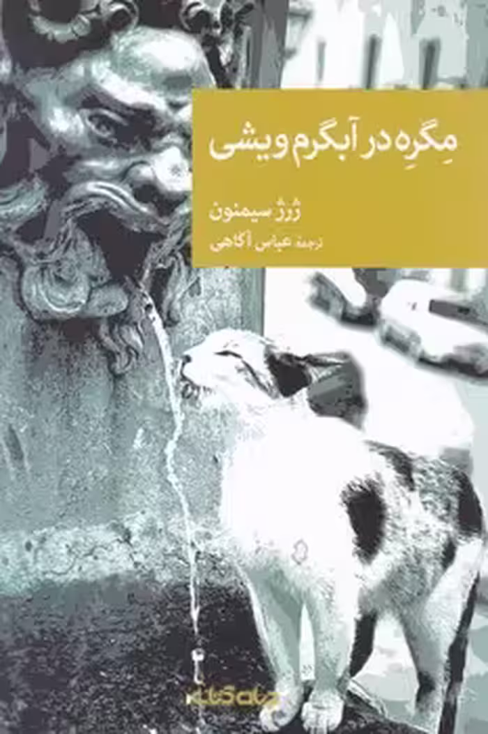 کتاب مگره در آبگرم ویشی اثر ژرژ سیمنون ترجمه عباس آگاهی