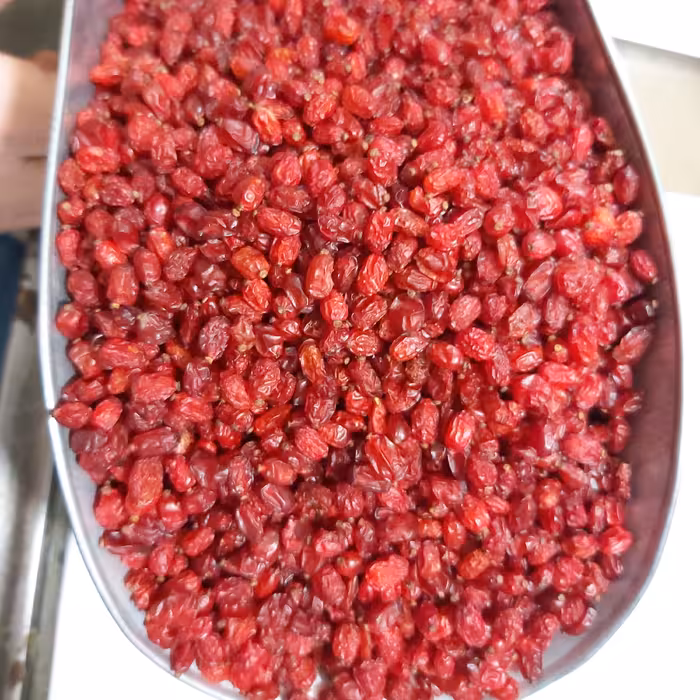 زرشک پفکی تمیز واعلا 500 گرمی