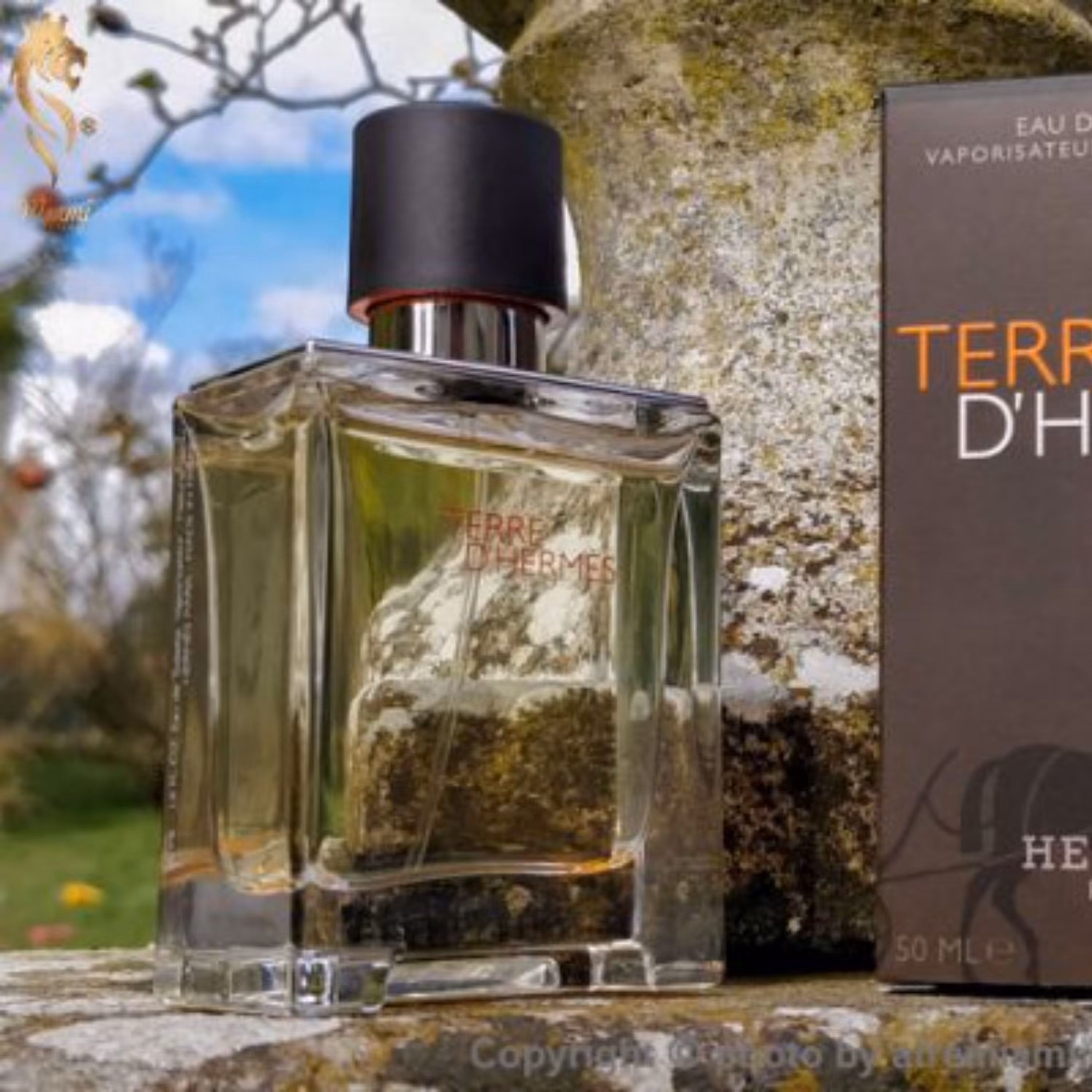 عطر تق هرمس لوزی سوئیس 5 گرمی 