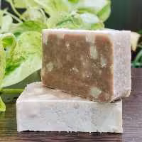 صابون گیاهی نمک دریا رفع جوش چرکی