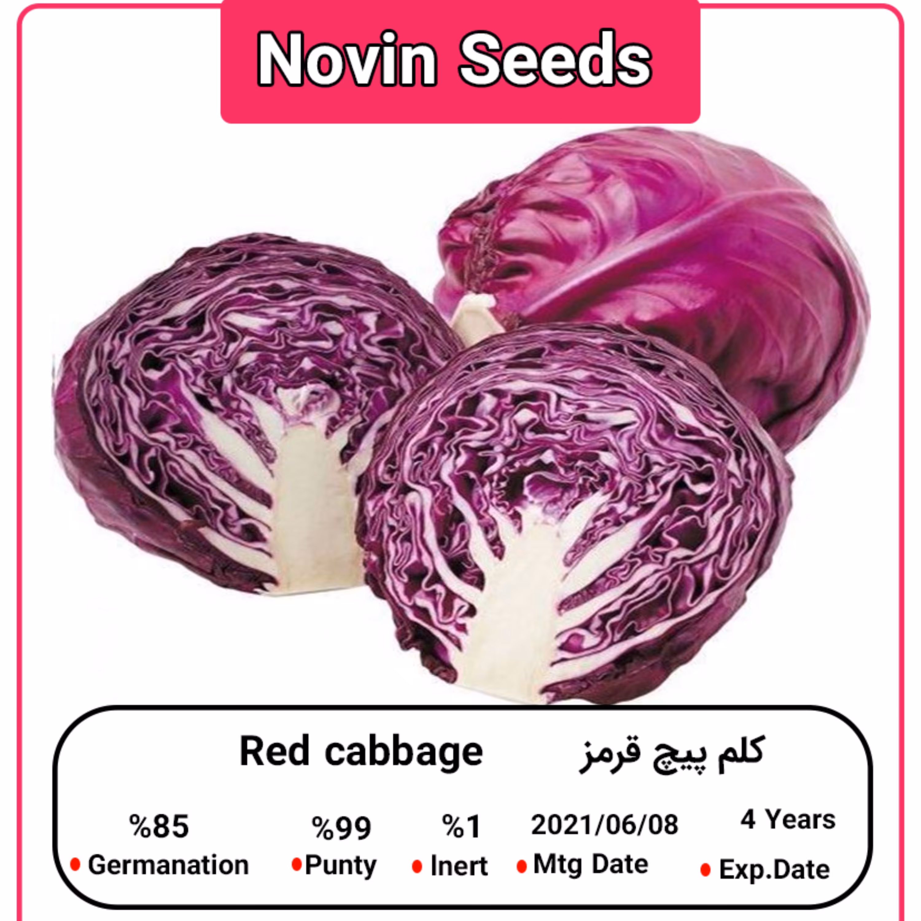 بذر کلم پیچ قرمز