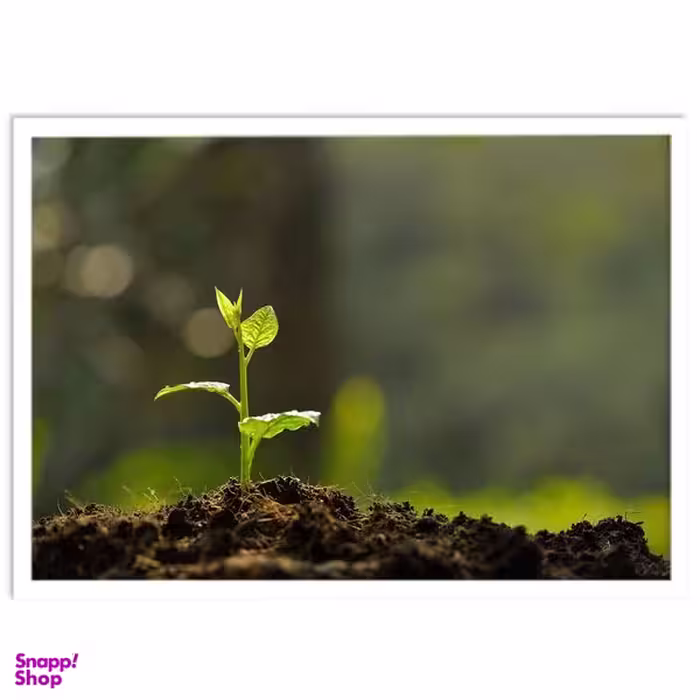تابلو بکلیت طرح جوانه و امید مدل W-S1486