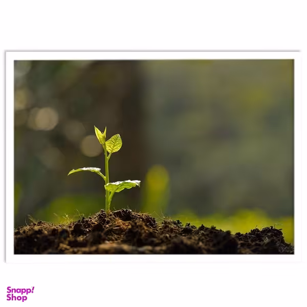 تابلو بکلیت طرح جوانه و امید مدل W-S1486