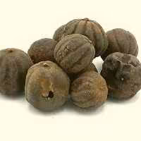 لیمو عمانی سیاه ممتاز فدک