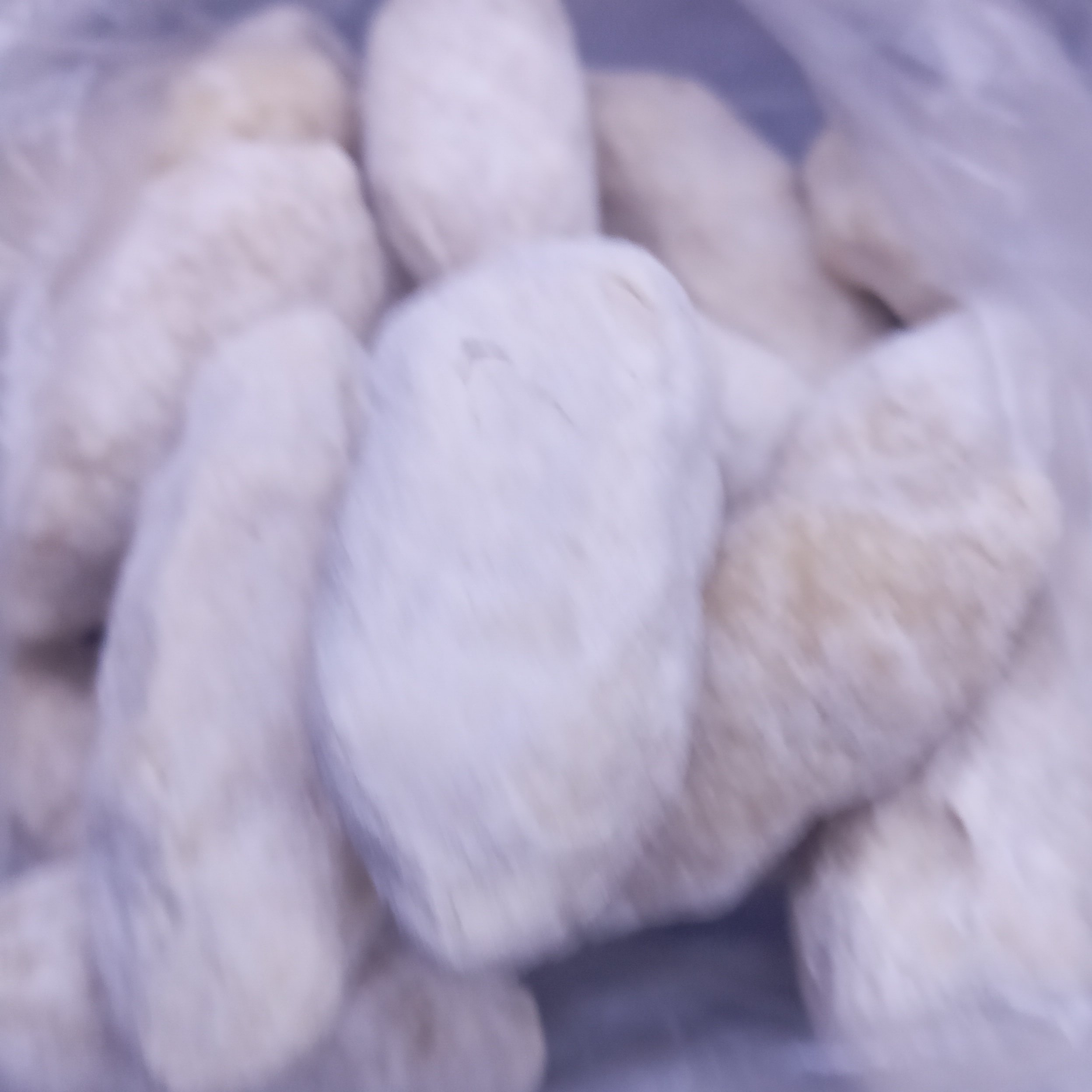 قروت مشتی محلی قائنات،،گاوی،،(500گرم)
