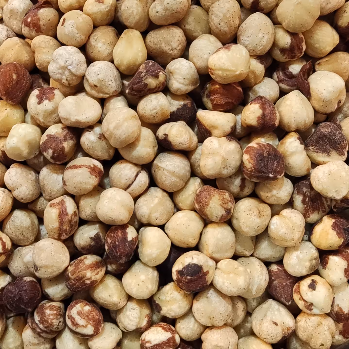 فندق شور (یک کیلو)