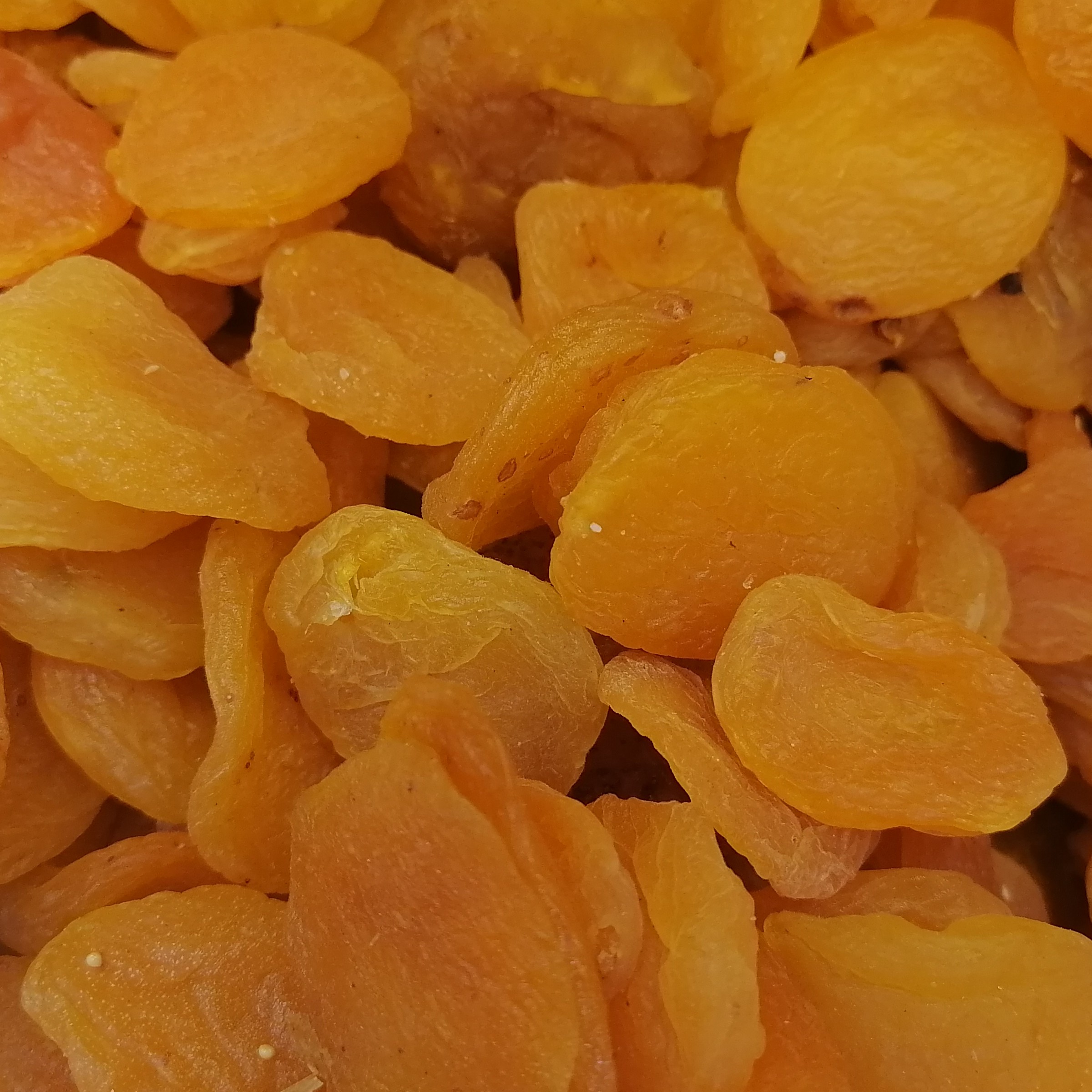 قیصی  زردآلو درجه 1