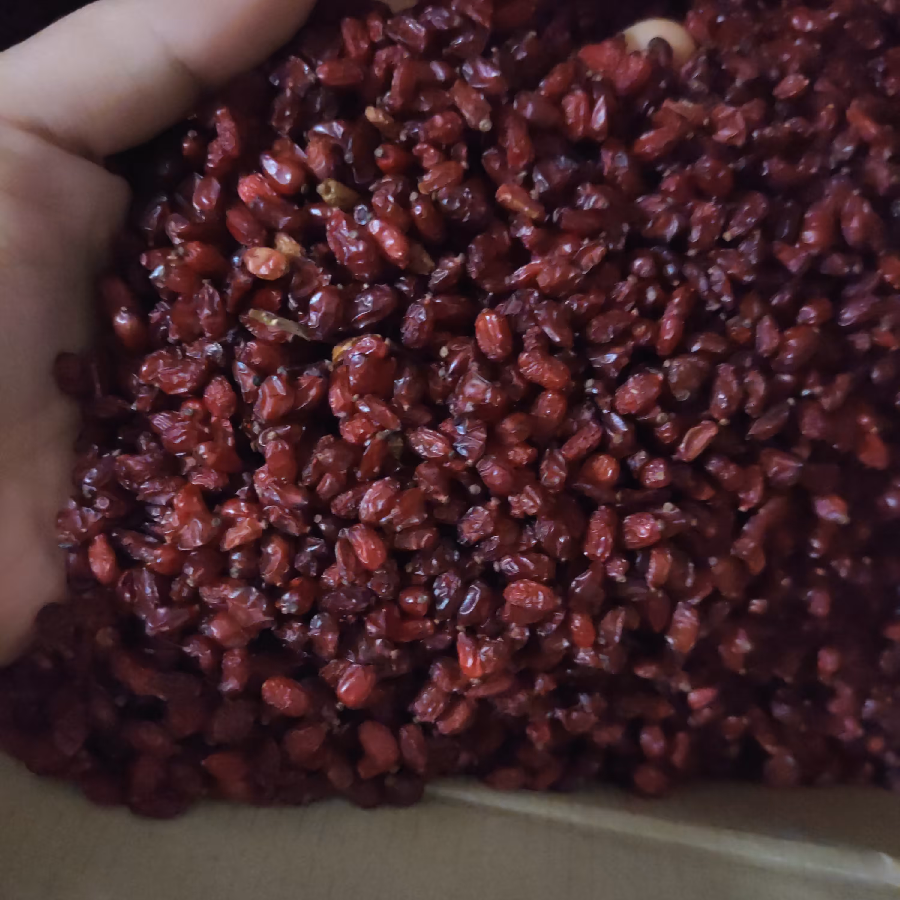 زرشک پفکی اعلا  کیلویی