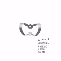 کلمپ لبیال (سانترال و کانین) - کوشا